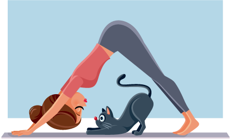 yoga pose with cat