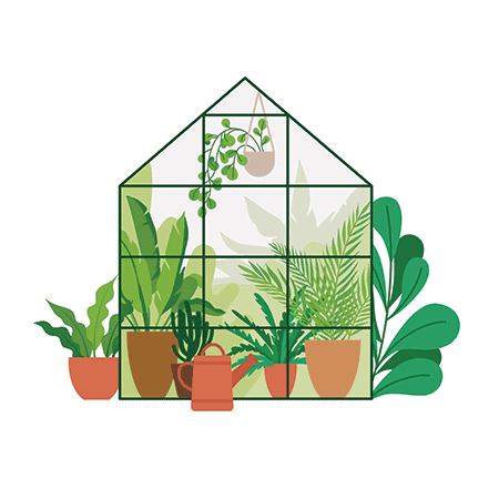 greenhouse-plants